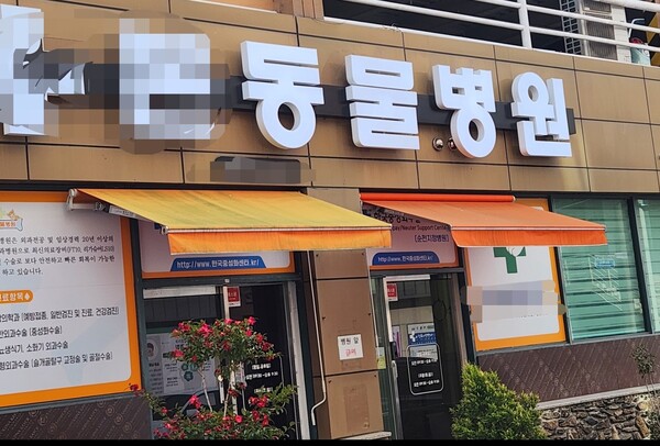 수술비 고지위반에 과다 청구한 순천 동물병원...