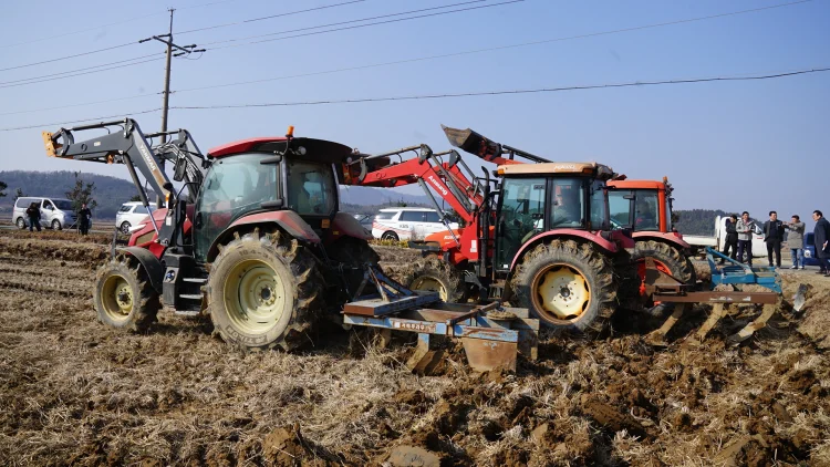 왕우렁이 피해 예방 위해 논 30cm 이상 깊이갈이해야