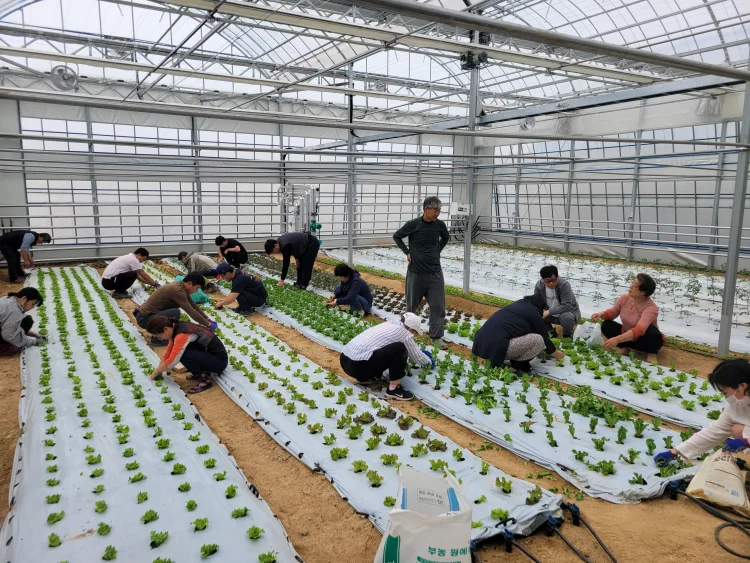 담양군, ‘2026년 신규농업인 기초영농기술교육’ 교육생 모집