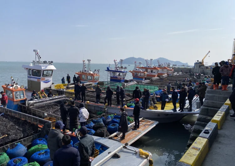 진도 김, 친환경 국제표준 인증(ASC-MSC 해조류/CoC) 취득