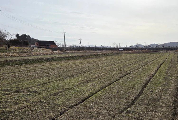 함평군, 맥류 생육 재생기 맞춤형 재배 관리 당부