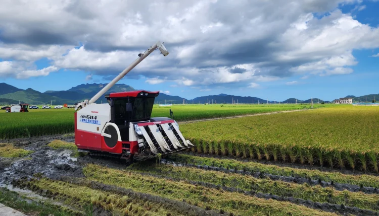 전남 수급조절 벼재배 농가모집…㏊당 50만원 추가 지급