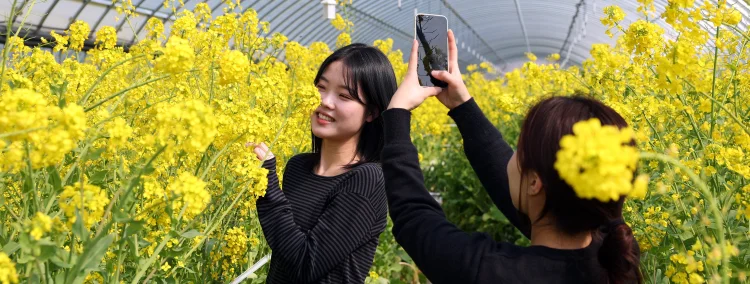 강진청자축제에서 봄을 만나다