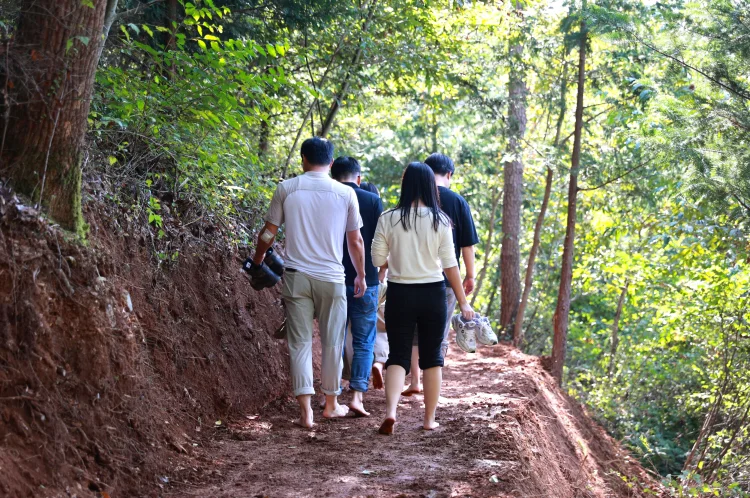 보성군, 읍면별 1개소 ‘맨발산책길’ 조성 본격화