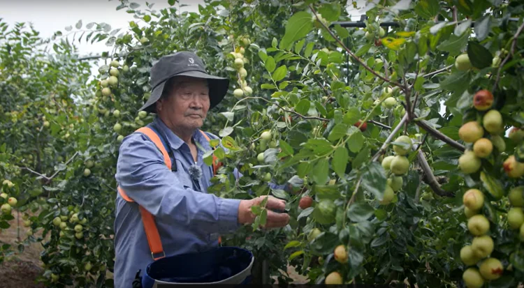 영광군, 2026년 산림소득사업 지원 추진