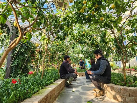 영광테마식물원 유리온실, 사계절 자연을 즐기는 힐링 공간